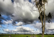 九游娱乐- 罗马赛前迎来里程碑，志在国王杯名次提升，更衣室稳定，高层口径保持一致